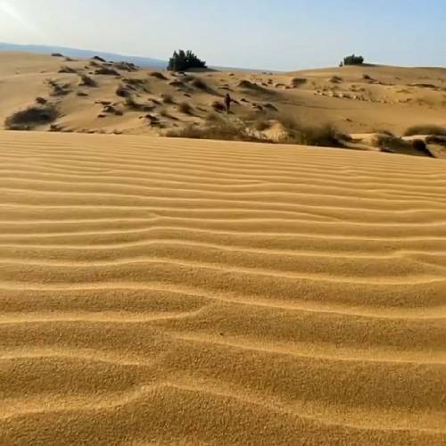 احمد مسکنی پاشو دیگه خسته شدم برگرد به خونه پاشو برگرد دیگه تورو تنها نمیزارم 